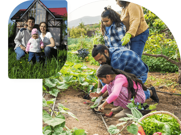 Whole family farming